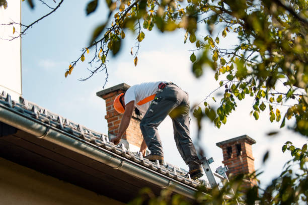Best Roof Gutter Cleaning  in Columbia, KY