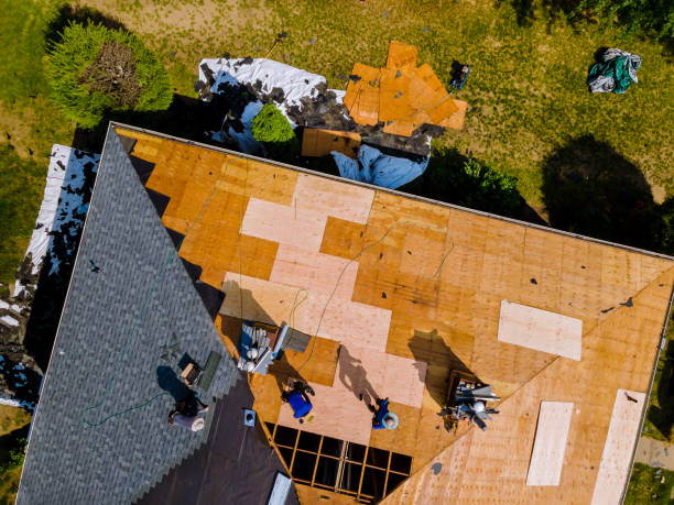 Best New Roof Installation  in Columbia, KY